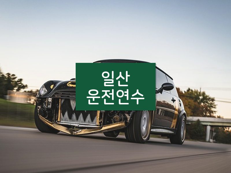 일산운전연수 후기