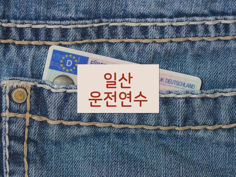 일산운전연수 후기