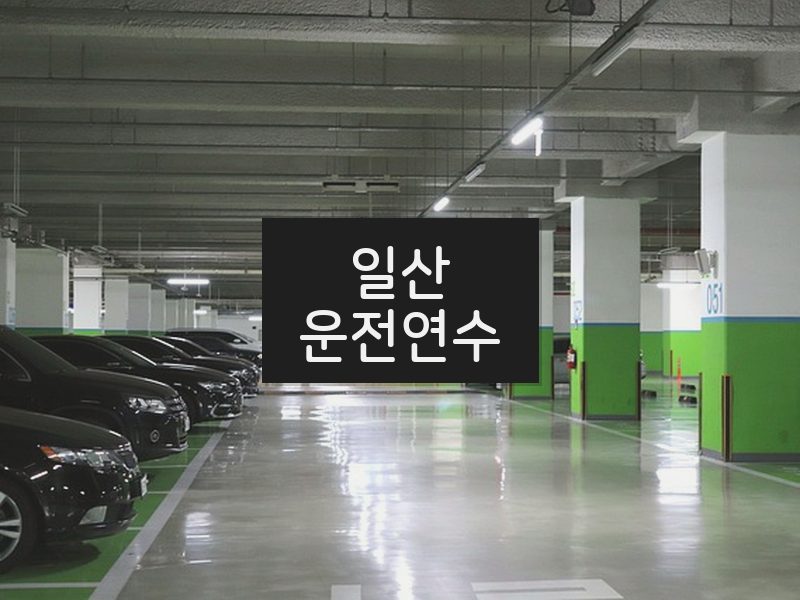 일산운전연수 후기