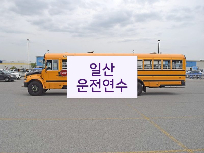 일산운전연수 후기