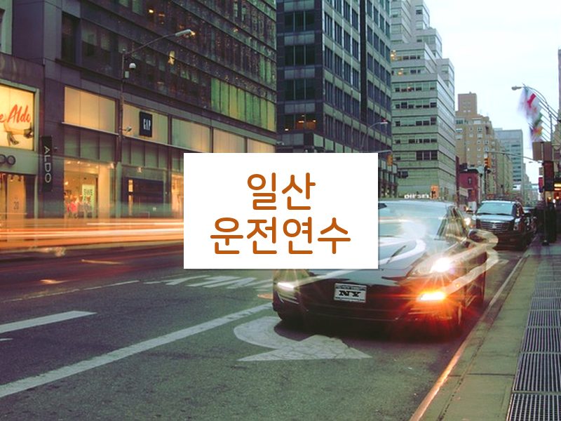 일산운전연수 후기