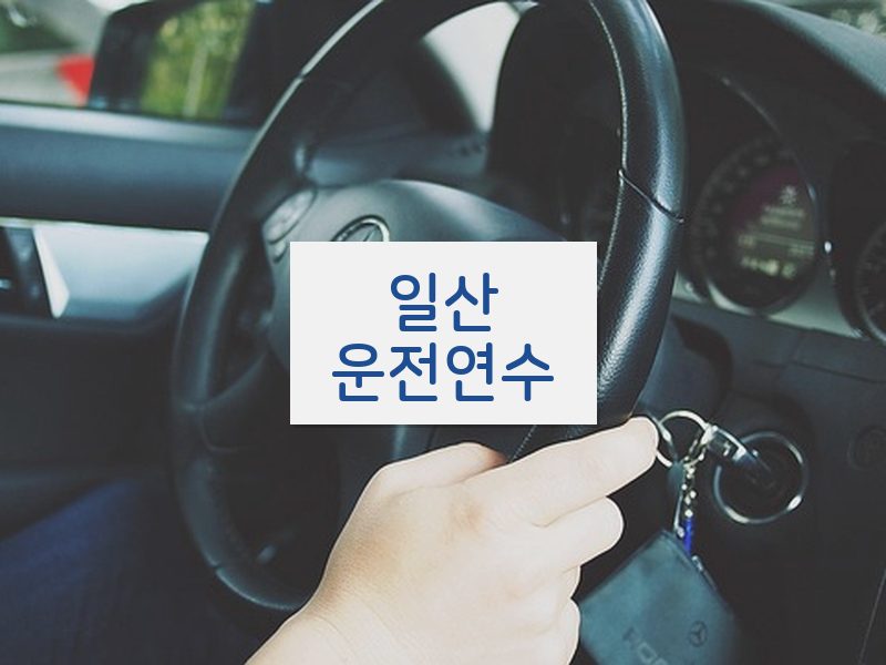 일산운전연수 후기