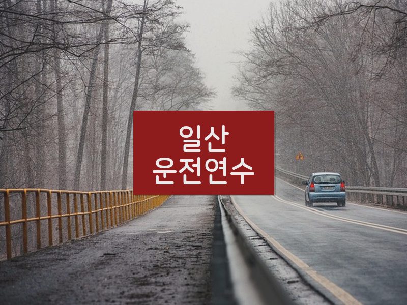 일산운전연수 후기