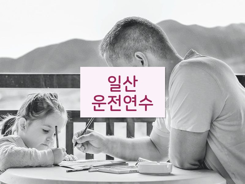 일산운전연수 후기