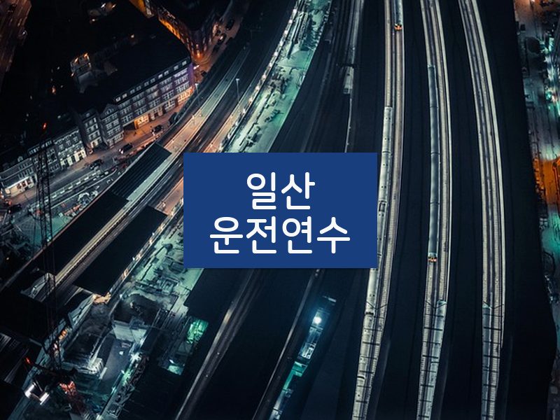 일산운전연수 후기