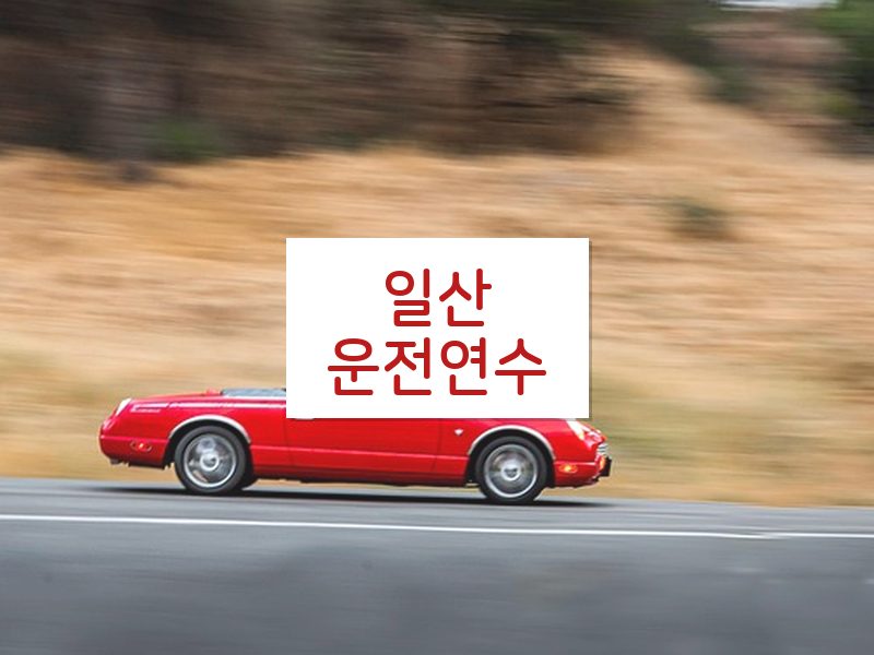 일산운전연수 후기